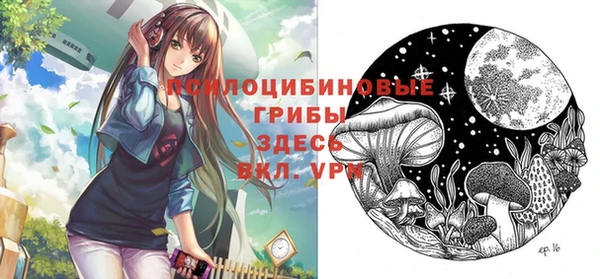 тгк Абдулино