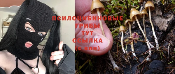 тгк Абдулино