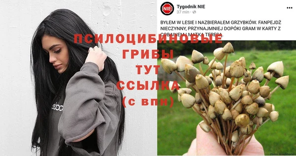 тгк Абдулино