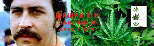 тгк Абдулино