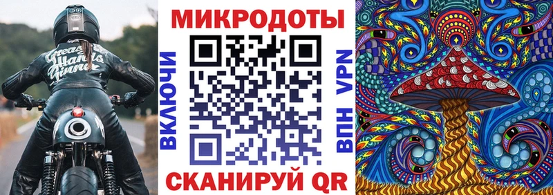 Псилоцибиновые грибы Psilocybine cubensis  Рязань 